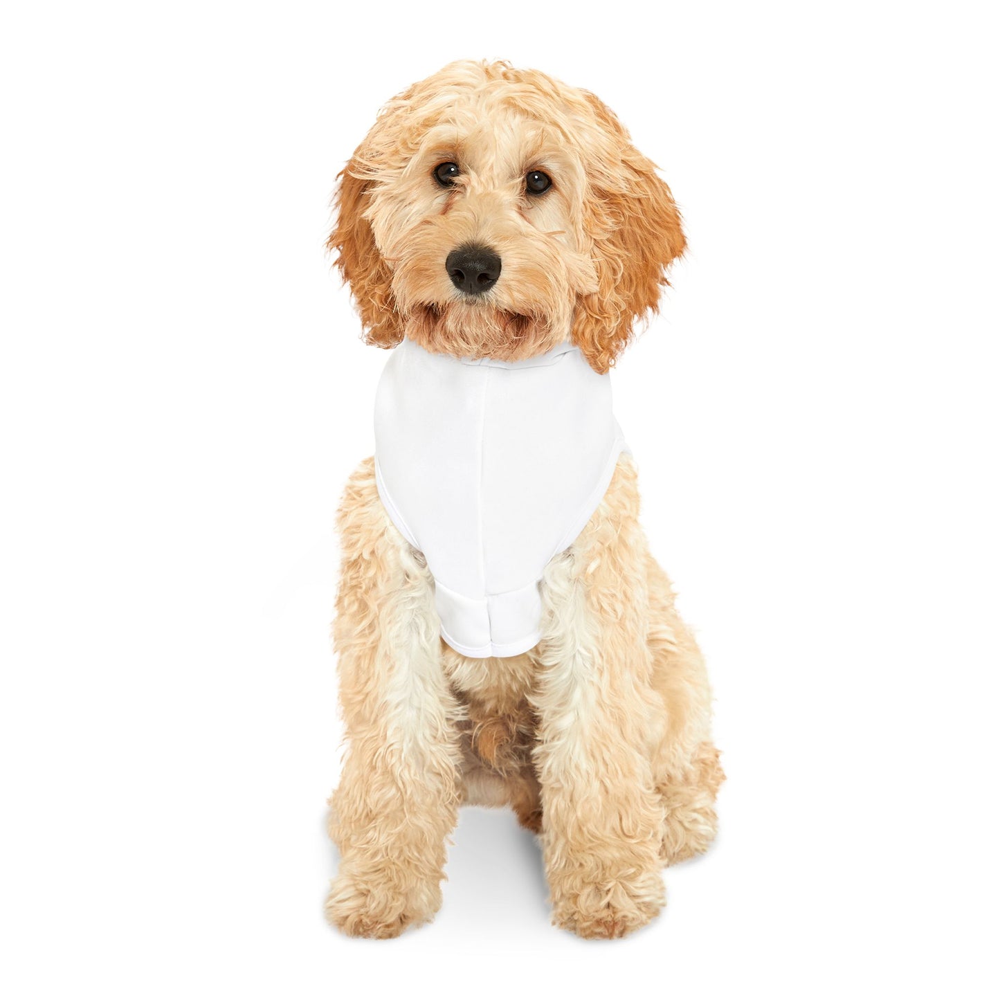 Signature Truckin Divas Pet Hoodie - Black or White Rib Color Options